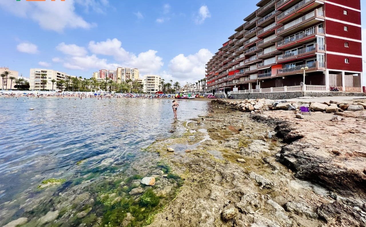 Апартаменты 3 спальни Playa de los Locos REF. CAR-02